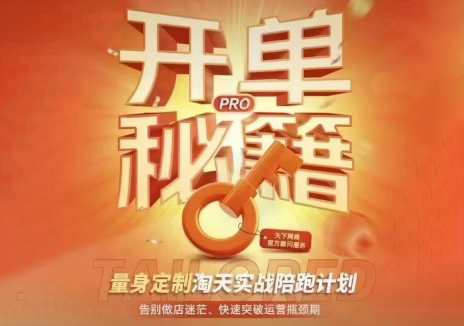 天下网商·淘宝天猫陪跑计划(更新10月)-星阳网创