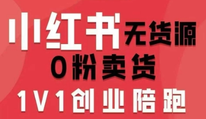 小红书无货源0粉电商课,开店准备、选品策略、笔记撰写、视频剪辑、数据分析、账号打造、资料文档(更新26年10月18日)-星阳网创