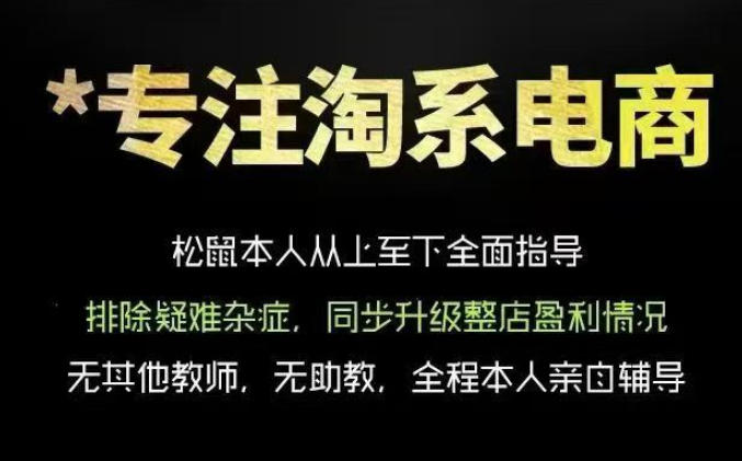 松鼠会电商VIP课程,从基础布局到高阶优化,助你掌握淘宝运营逻辑,提升店铺流量与转化(更新1015)-星阳网创