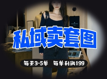 私域卖套图每天3-5单,每单利润99-星阳网创