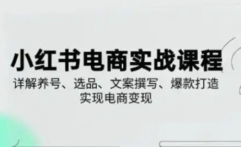 小红书从0-1实操课(2023-2025),详解养号、选品、文案撰写、爆款打造实现电商变现-星阳网创