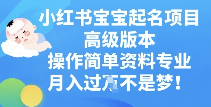小红书宝宝起名项目高级版本,操作简单,资料专业,月入过W-星阳网创