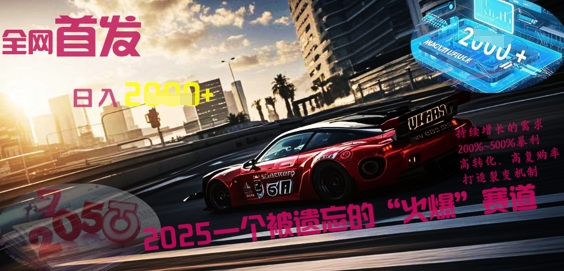 全网首发：2025一个被遗忘的“火爆”赛道轻松日入多张-星阳网创