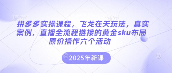 拼多多实操课程，飞龙在天玩法，真实案例，直播全流程链接的黄金sku布局原价操作六个活动-星阳网创