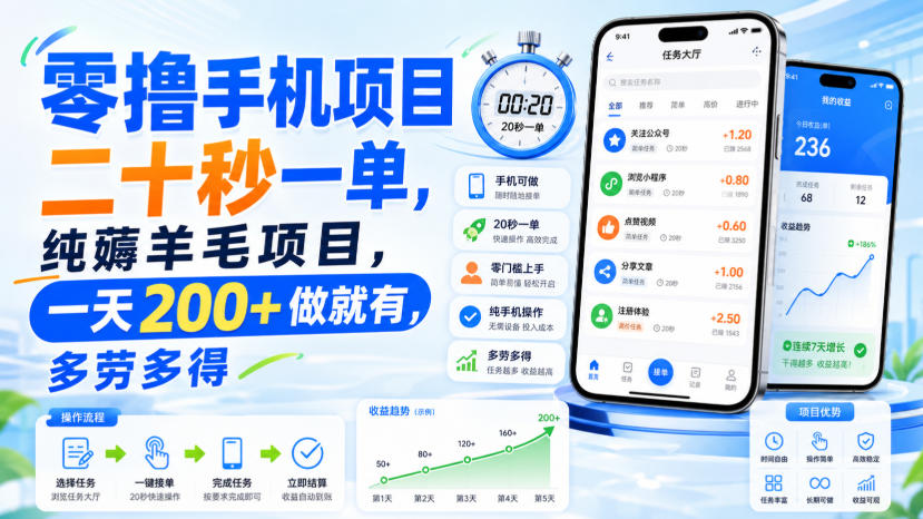 零撸手机项目,二十秒一单,纯薅羊毛项目,一天200+做就有,多劳多得【揭秘】-星阳网创