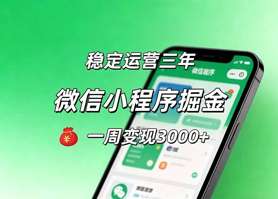 月收益稳定1W+的微信小程序，前期积累客户，后期躺平养老，小白轻松上手-星阳网创