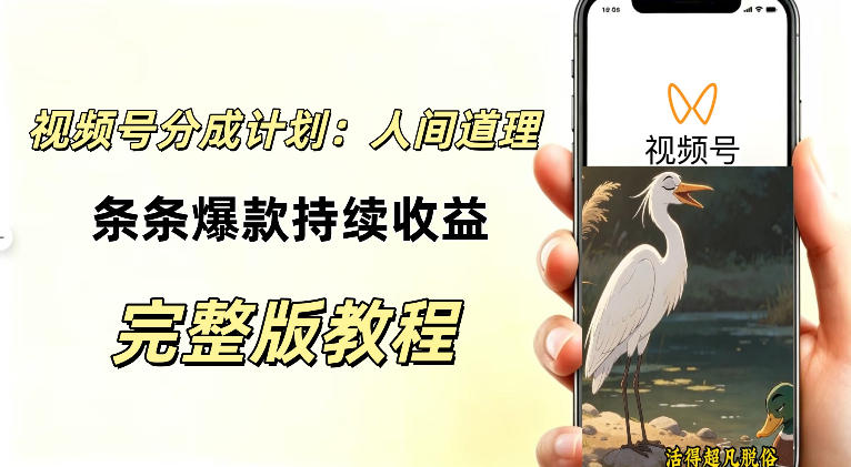 视频号新玩法之AI动漫画风励志视频,不用会画画、不用拍摄,持续化收益,详细拆解-星阳网创