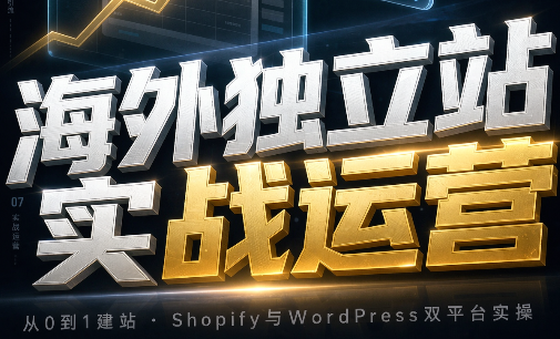 海外独立站实战运营-星阳网创