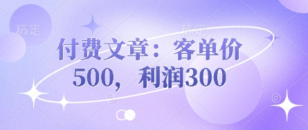 付费文章:客单价500,利润300-星阳网创