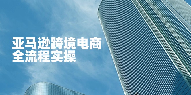 (14252期)亚马逊跨境电商全流程实操,教你从零开始,掌握店铺运营与广告技巧-星阳网创