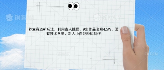 AI养生赛道新玩法，10条作品涨粉5.2W，操作简单，新人小白能轻松制作-星阳网创