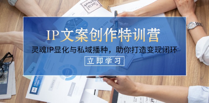 (14330期)IP文案创作特训营,灵魂IP显化与私域播种,助你打造变现闭环(14节课)-星阳网创