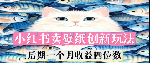 小红书卖壁纸创新玩法，后期一个月收益四位数-星阳网创