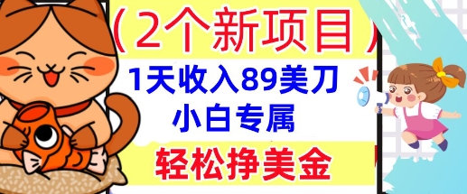 2个新项目,轻松挣美金, 1天收入89美刀,小白专属,干货分享-星阳网创