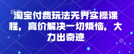 淘宝付费玩法无界实操课程，高价解决一切烦恼，大力出奇迹-星阳网创