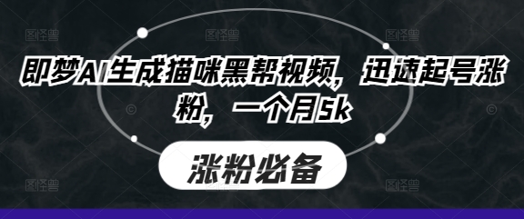 即梦AI生成猫咪黑帮视频,迅速起号涨粉,一个月5k-星阳网创