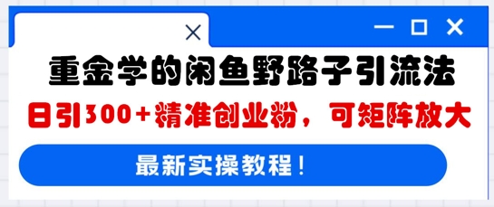 重金学的闲鱼野路子引流法,日引300+精准创业粉,可矩阵放大-星阳网创