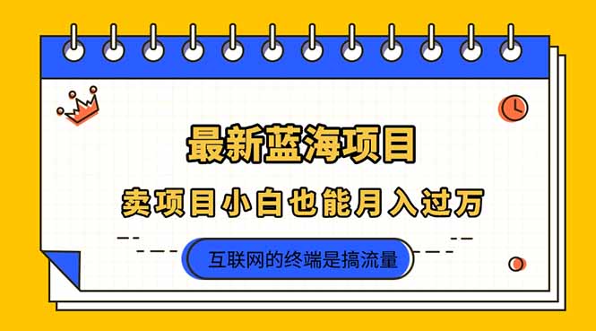 (14289期)2025年最新蓝海项目,卖项目小白也能月入过万-星阳网创