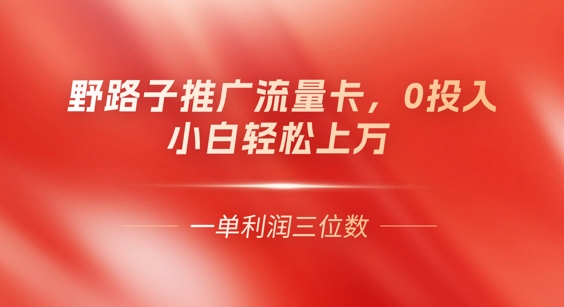 0门槛推广流量卡,一单收益上百,0投入,小白月入过W-星阳网创