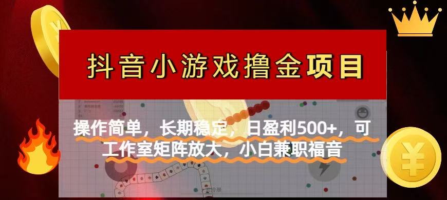 （14290期）【抖音小游戏发行人计划项目】操作简单，长期稳定，日盈利500+，可工作...-星阳网创