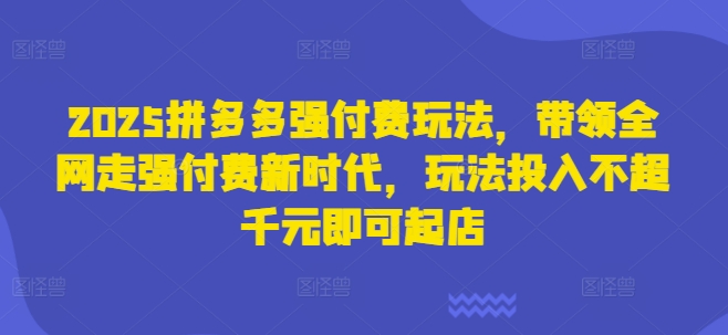 2025拼多多强付费玩法,带领全网走强付费新时代,玩法投入不超千元即可起店-星阳网创