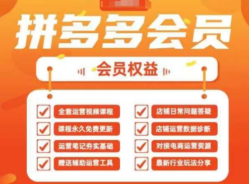 2025拼多多运营实战课,40节全流程教学,覆盖拼多多运营全链路-星阳网创
