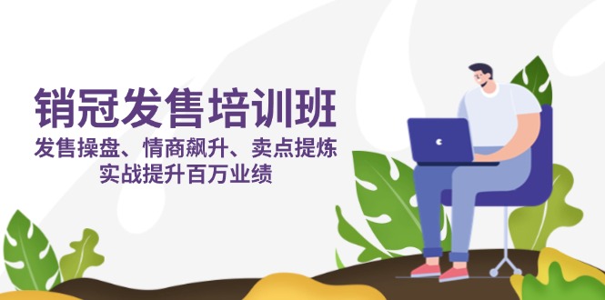 (14203期)销冠 发售培训班:发售 操盘+情商 飙升+卖点 提炼,实战提升百万业绩-星阳网创