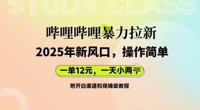 哔哩哔哩暴力拉新:2025年新风口,一单12元,一天数张(附开白渠道和保姆级教程)-星阳网创