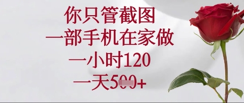 你只管截图,一部手机在家操作,一小时120.一天5张【揭秘】-星阳网创