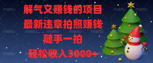 解气又挣钱的项目,最新违章拍照挣钱,随手一拍,轻松收入数张【揭秘】-星阳网创